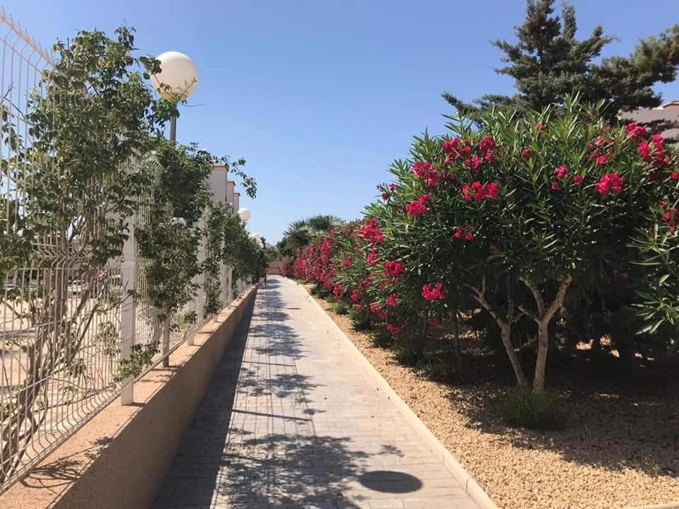 Casa Punta Prima Apartment Orihuela Ngoại thất bức ảnh